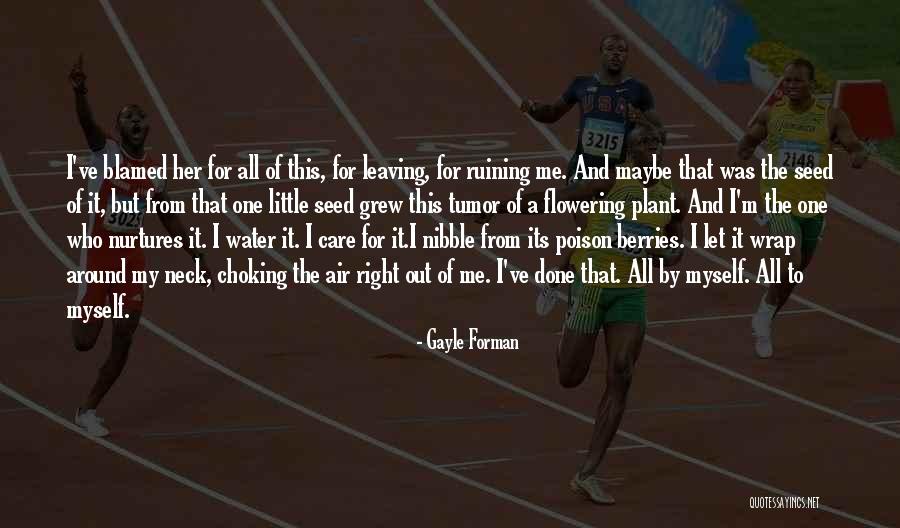 Kotoeko Quotes By Gayle Forman Kotoeko Quotes By Gayle Forman