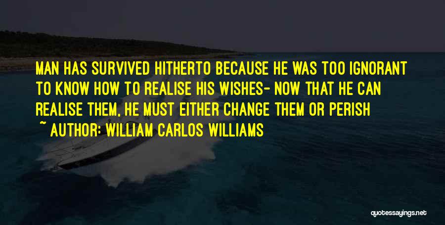 Kotoko And Naoki Quotes By William Carlos Williams