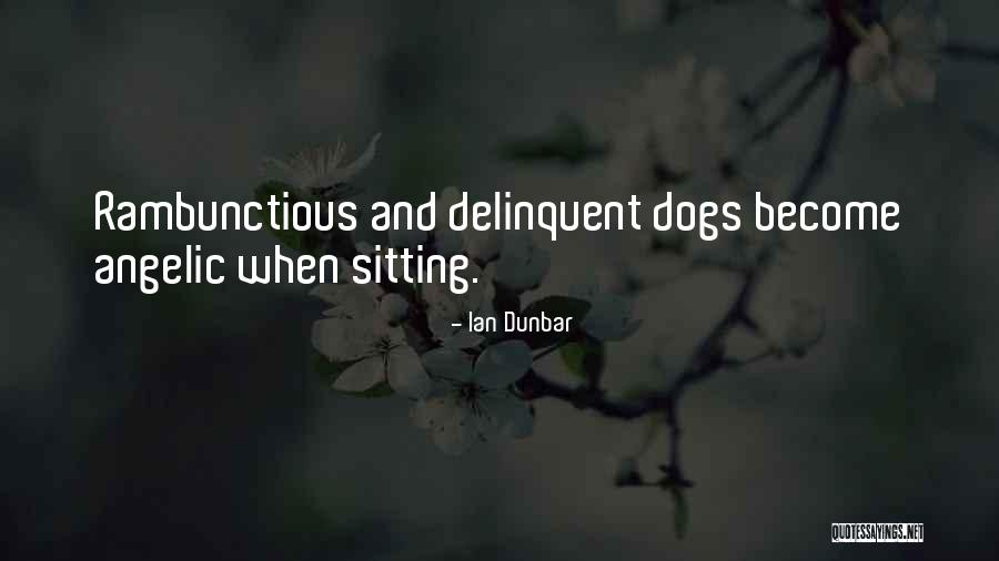 Kotomi Musician Quotes By Ian Dunbar Kotomi Musician Quotes By Ian Dunbar
