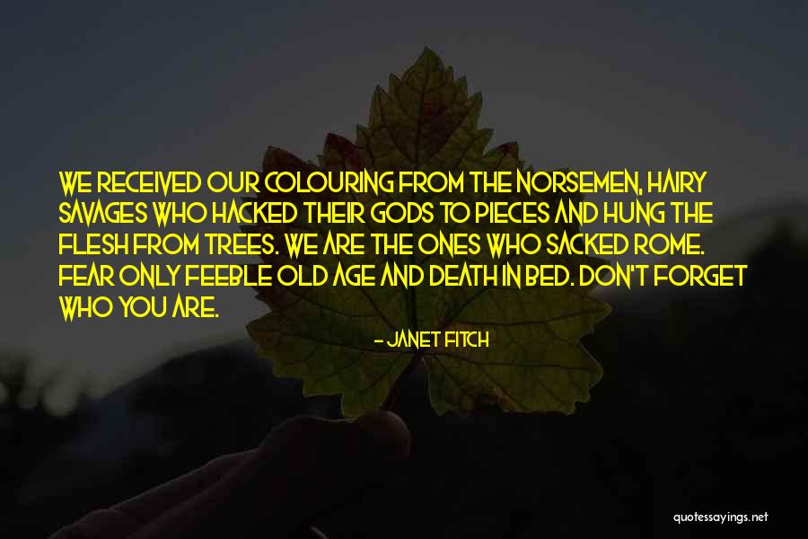 Kottarakkara News Quotes By Janet Fitch Kottarakkara News Quotes By Janet Fitch