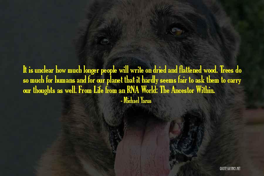 Kotwijs Quotes By Michael Yarus Kotwijs Quotes By Michael Yarus