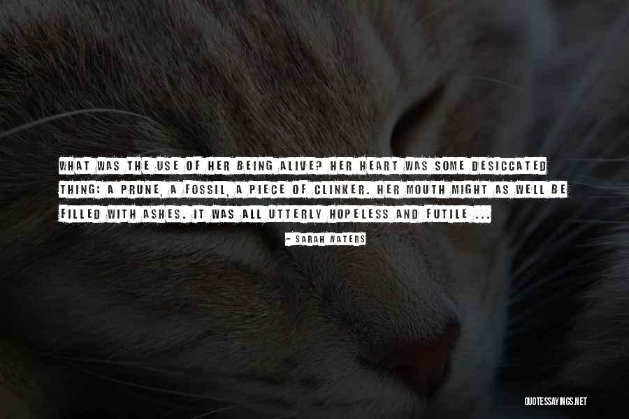 Koude Schotels Quotes By Sarah Waters Koude Schotels Quotes By Sarah Waters
