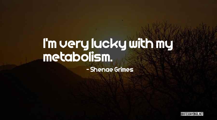 Kougar Gasy Quotes By Shenae Grimes Kougar Gasy Quotes By Shenae Grimes