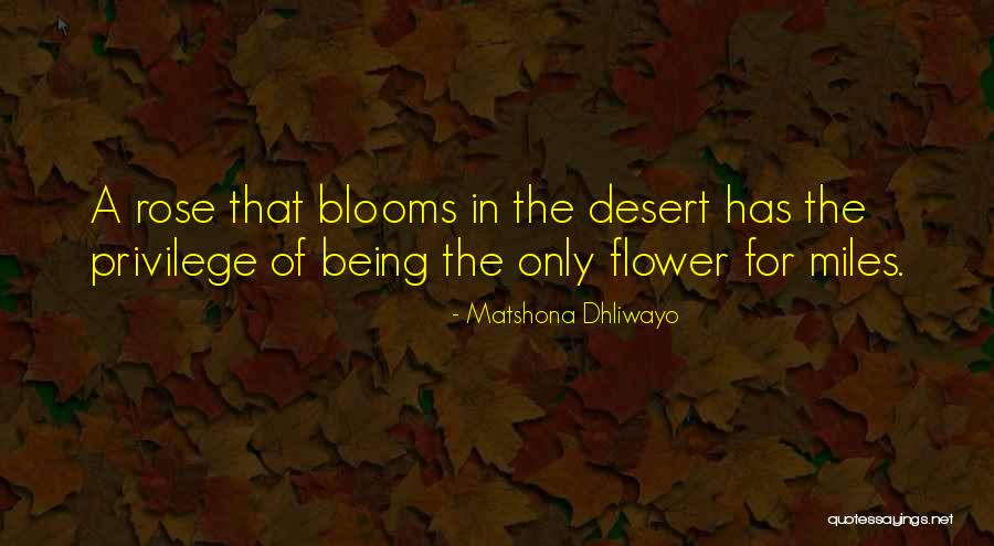Kouji Kouda Quotes By Matshona Dhliwayo Kouji Kouda Quotes By Matshona Dhliwayo