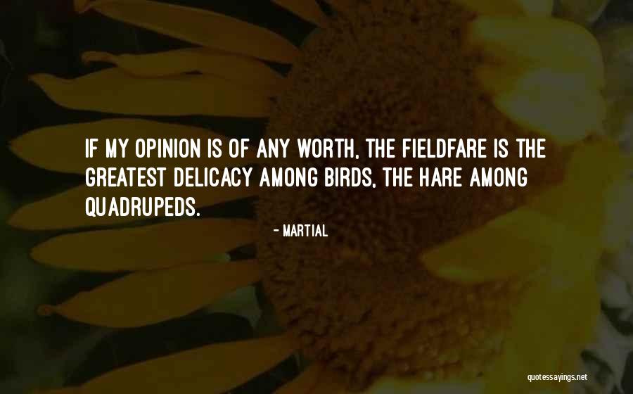 Kouji Minamoto Quotes By Martial Kouji Minamoto Quotes By Martial