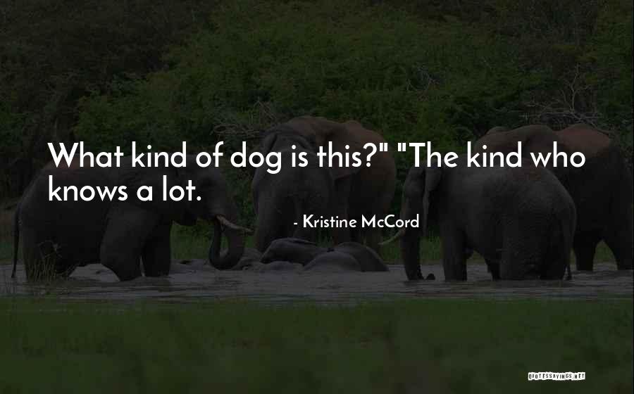 Kourouma Demain Quotes By Kristine McCord Kourouma Demain Quotes By Kristine McCord