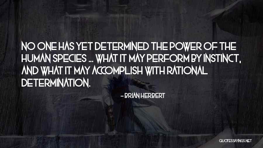 Koushi Sugawara Quotes By Brian Herbert Koushi Sugawara Quotes By Brian Herbert