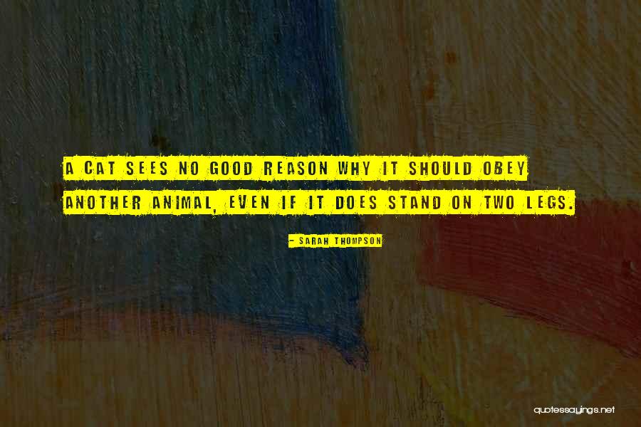 Kousta Foteh Quotes By Sarah Thompson Kousta Foteh Quotes By Sarah Thompson