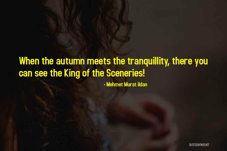 Kouwenhoven Associates Quotes By Mehmet Murat Ildan Kouwenhoven Associates Quotes By Mehmet Murat Ildan