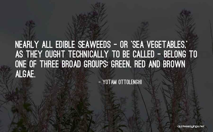 Kouzes Leadership Challenge Quotes By Yotam Ottolenghi Kouzes Leadership Challenge Quotes By Yotam Ottolenghi
