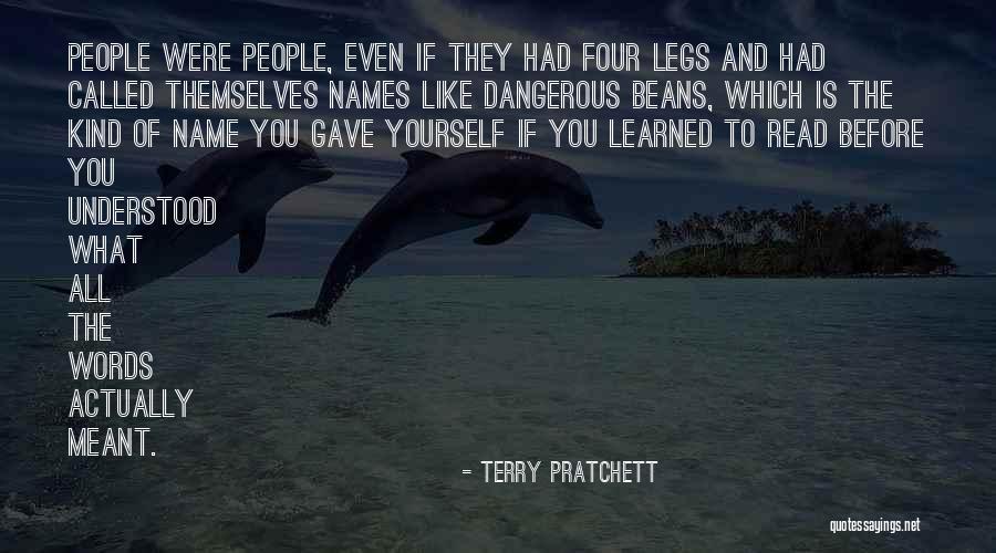 Koyun Shaun Quotes By Terry Pratchett Koyun Shaun Quotes By Terry Pratchett