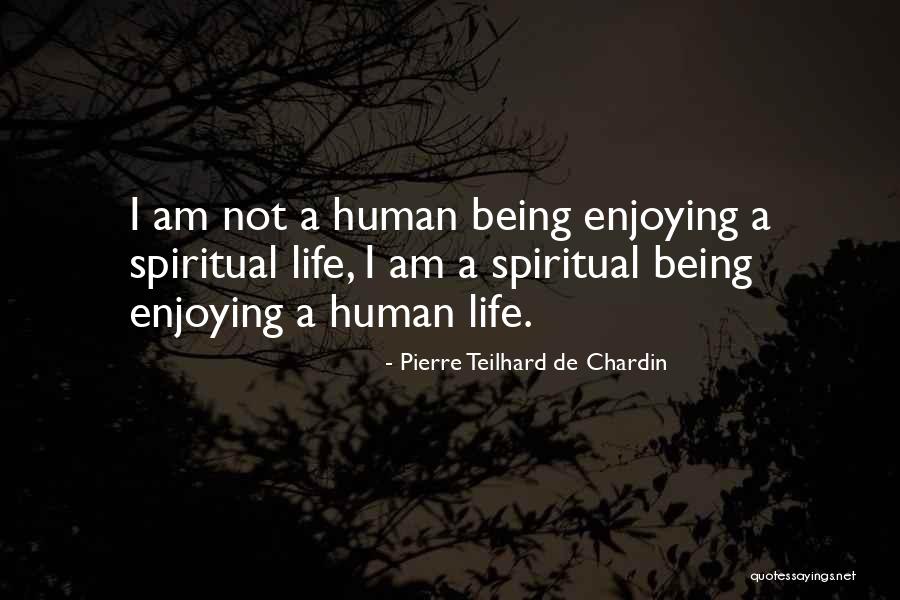 Kozenys Lawn Quotes By Pierre Teilhard De Chardin Kozenys Lawn Quotes By Pierre Teilhard De Chardin