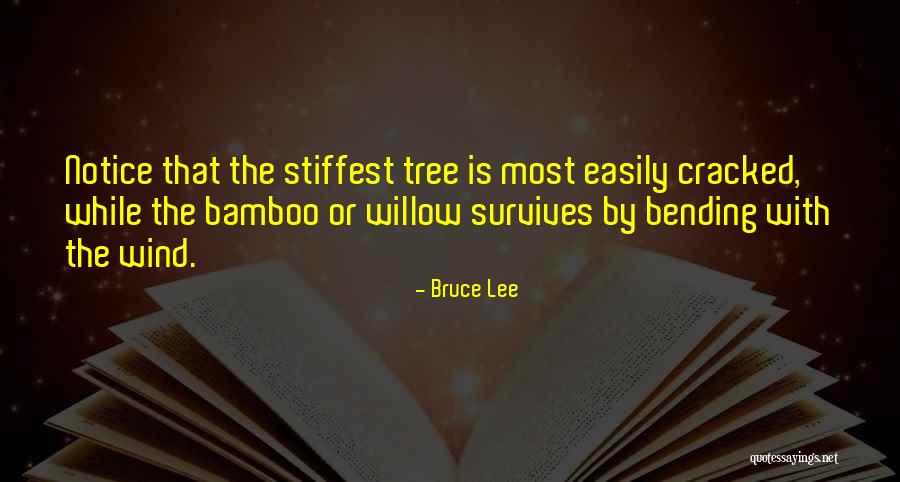 Kozisek Aquatic Center Quotes By Bruce Lee