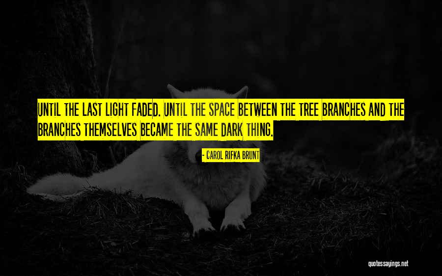 Krae Quotes By Carol Rifka Brunt Krae Quotes By Carol Rifka Brunt