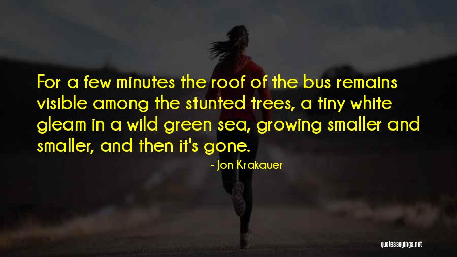 Krakauer Into The Wild Quotes By Jon Krakauer Krakauer Into The Wild Quotes By Jon Krakauer