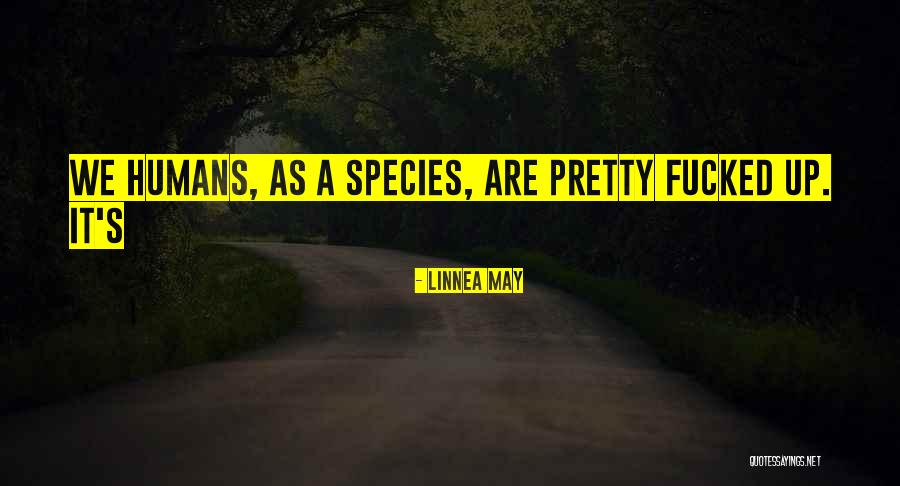Krakowiaktv Quotes By Linnea May Krakowiaktv Quotes By Linnea May