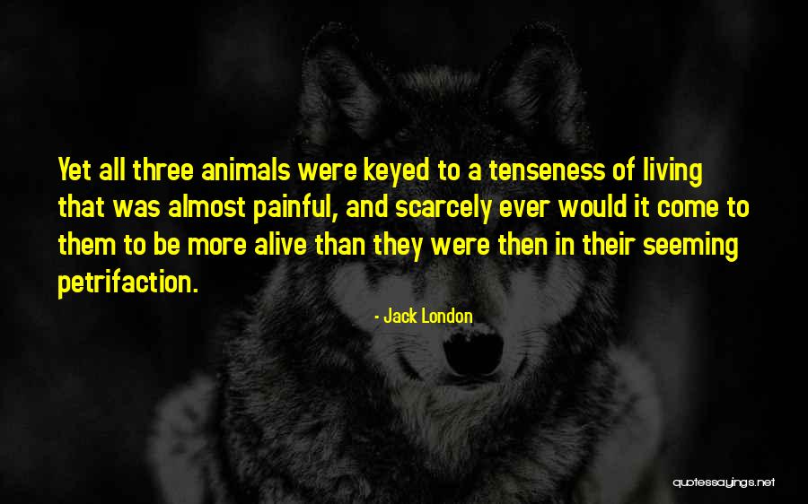 Krapets Grecia Quotes By Jack London Krapets Grecia Quotes By Jack London