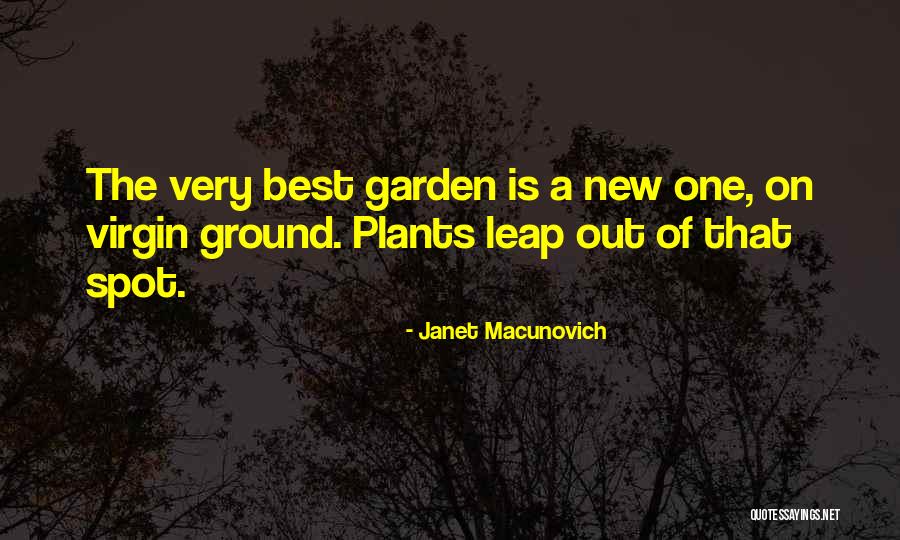 Krauchthal Switzerland Quotes By Janet Macunovich Krauchthal Switzerland Quotes By Janet Macunovich