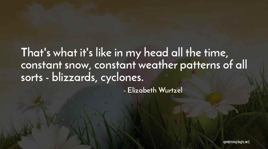 Krausers Food Quotes By Elizabeth Wurtzel Krausers Food Quotes By Elizabeth Wurtzel