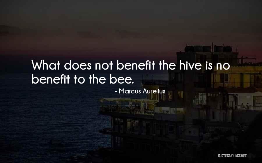 Kraybill Federal Judge Quotes By Marcus Aurelius Kraybill Federal Judge Quotes By Marcus Aurelius
