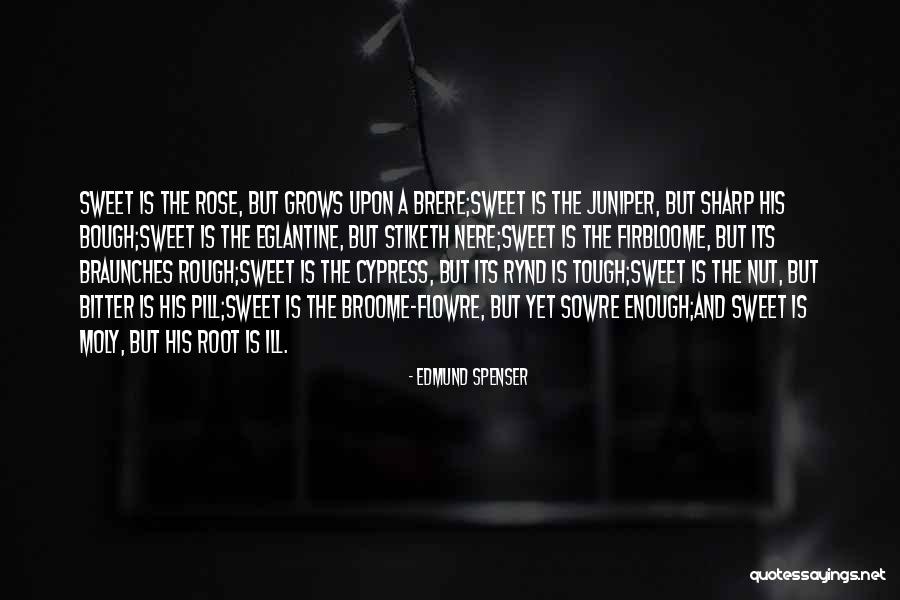 Kream N Quotes By Edmund Spenser Kream N Quotes By Edmund Spenser