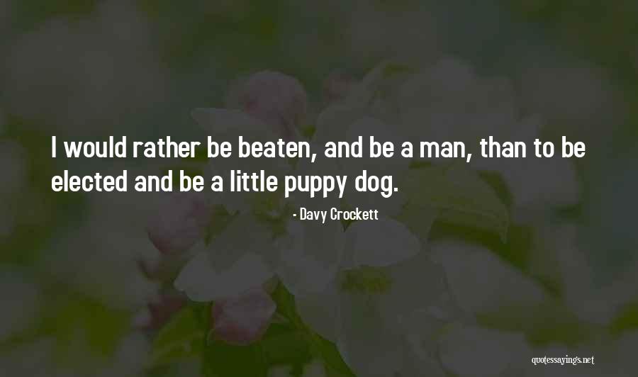 Krehbiel Quotes By Davy Crockett Krehbiel Quotes By Davy Crockett