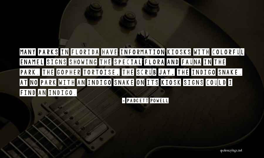 Krejcik Honza Quotes By Padgett Powell Krejcik Honza Quotes By Padgett Powell