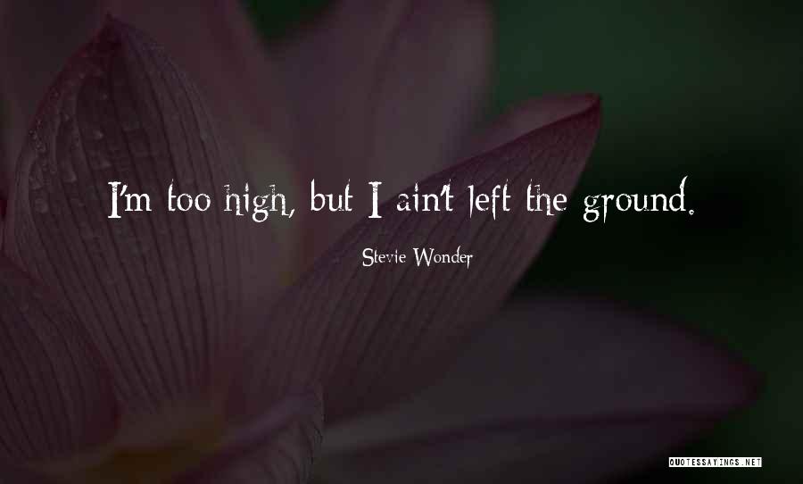 Krejcik Honza Quotes By Stevie Wonder