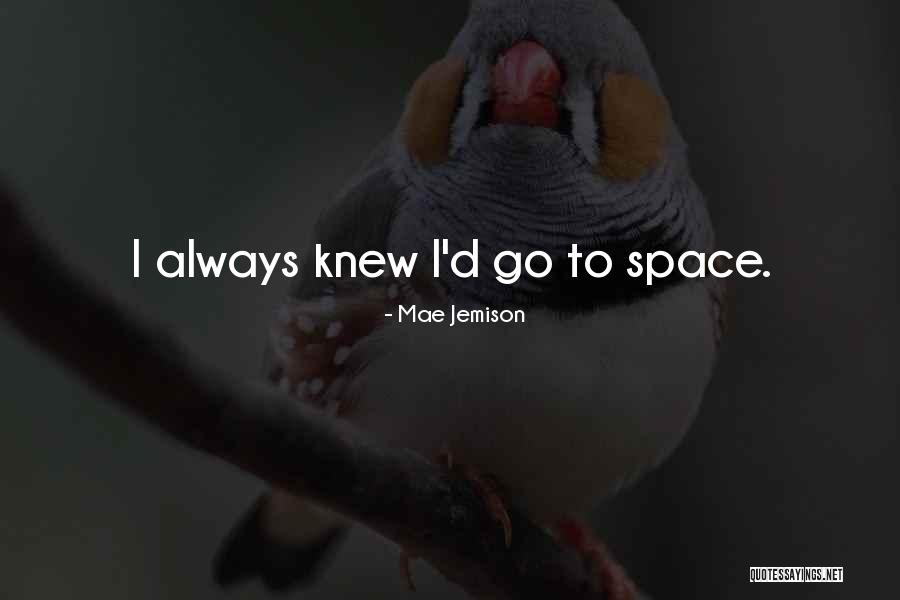 Krenzke Meats Quotes By Mae Jemison