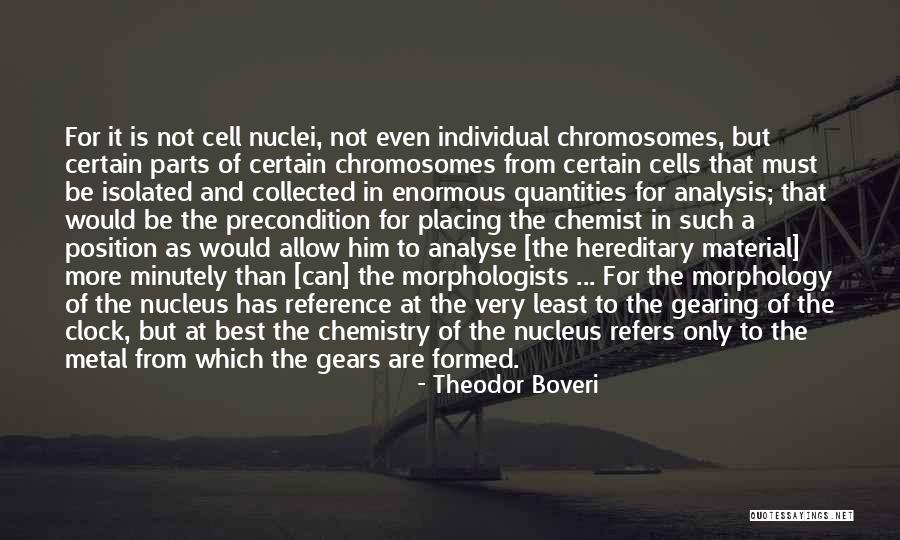 Kreuzinger Musikhaus Quotes By Theodor Boveri Kreuzinger Musikhaus Quotes By Theodor Boveri