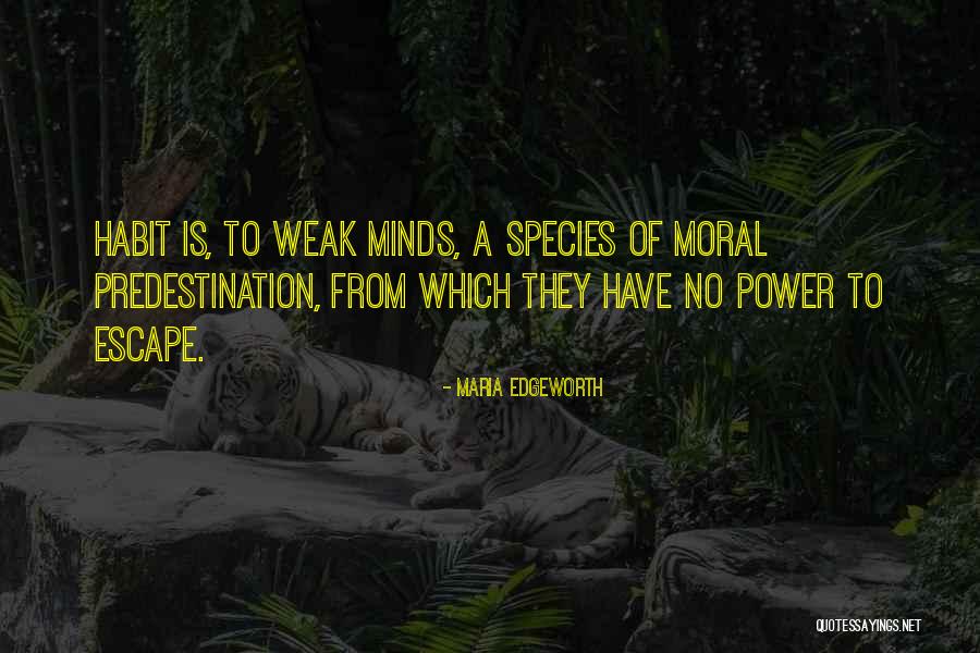 Kri Anovice U Vy Kova Quotes By Maria Edgeworth Kri Anovice U Vy Kova Quotes By Maria Edgeworth