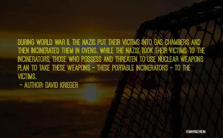 Krieger Quotes By David Krieger