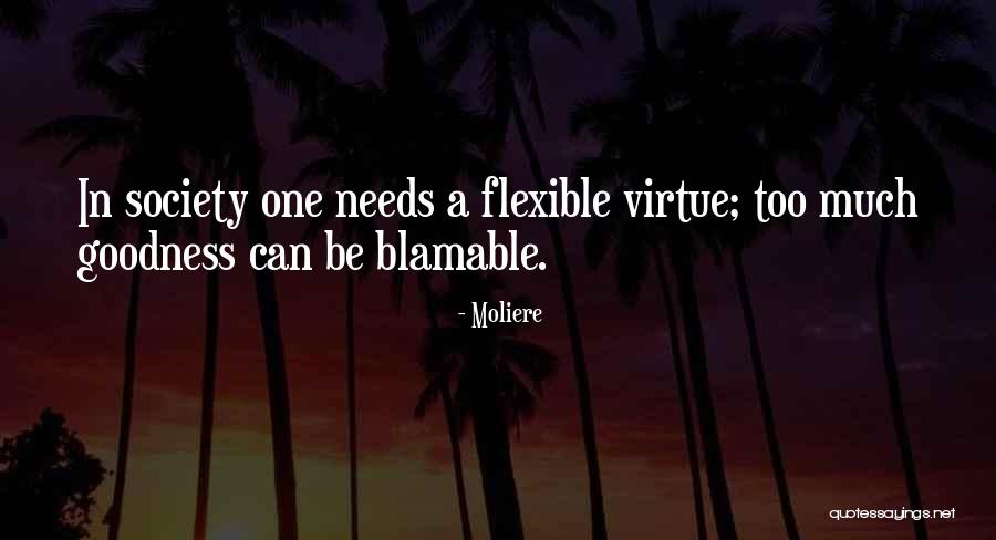 Kriegshauser Brothers Quotes By Moliere