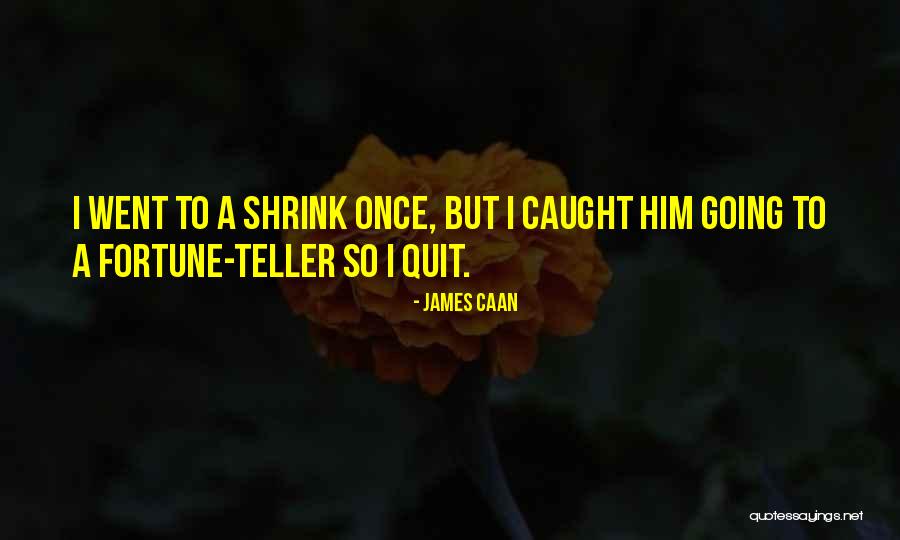 Kriek Lindemans Quotes By James Caan Kriek Lindemans Quotes By James Caan