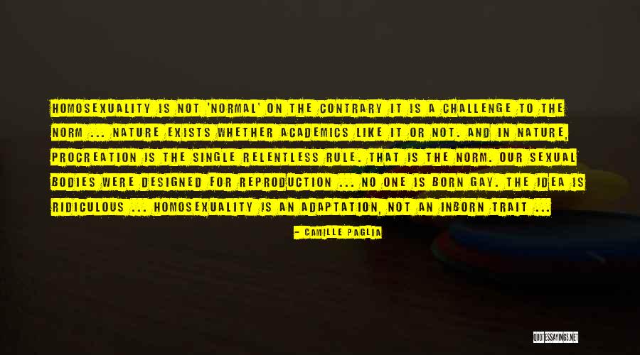 Krilo Catamaran Quotes By Camille Paglia Krilo Catamaran Quotes By Camille Paglia