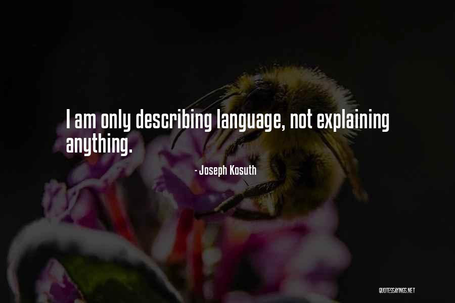 Krinkle It Quotes By Joseph Kosuth Krinkle It Quotes By Joseph Kosuth