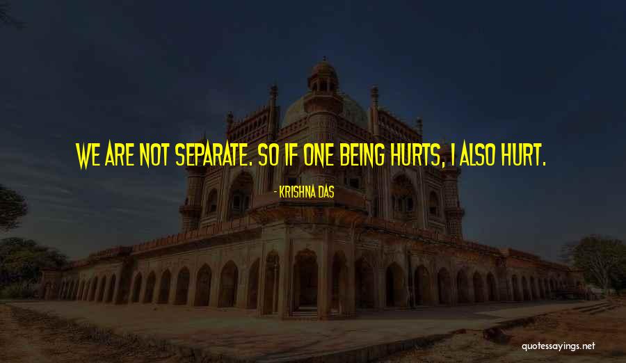 Krishna Das Quotes 1285281 Krishna Das Quotes 1285281