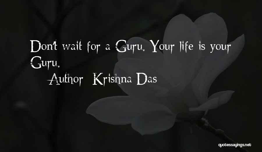 Krishna Das Quotes 405706