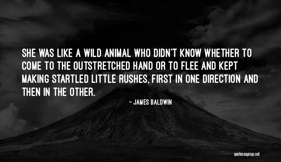Krishna Rao Capgemini Quotes By James Baldwin Krishna Rao Capgemini Quotes By James Baldwin