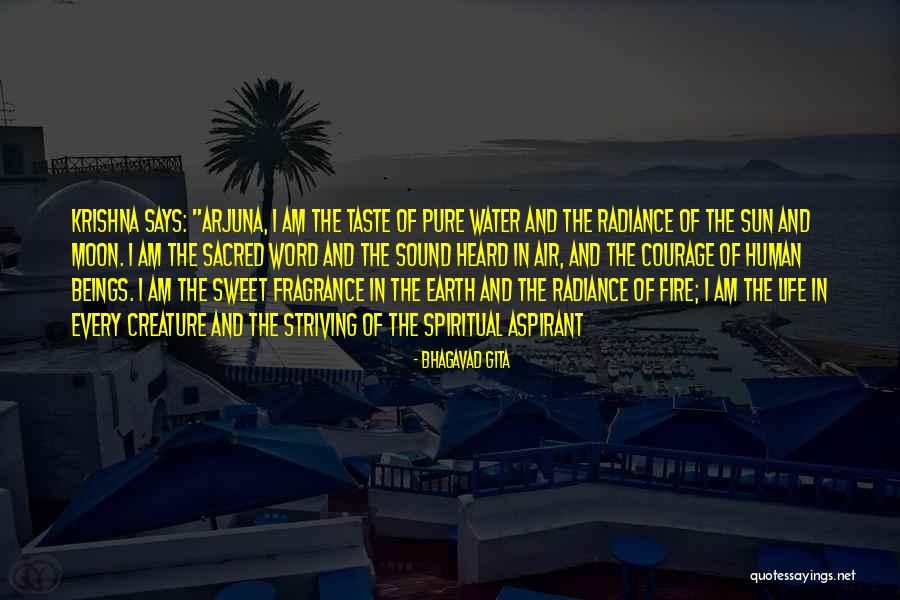 Krishna To Arjuna Quotes By Bhagavad Gita