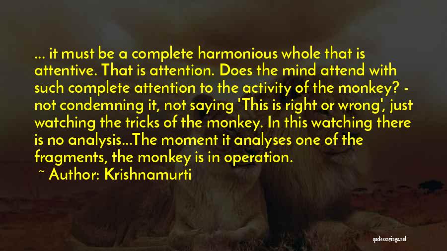 Krishnamurti Quotes 732210
