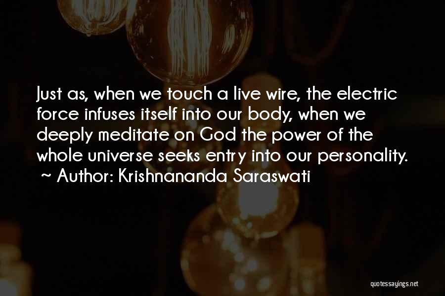Krishnananda Saraswati Quotes 1685000