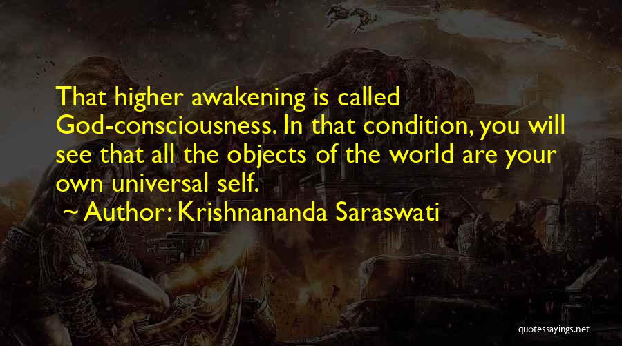 Krishnananda Saraswati Quotes 881443