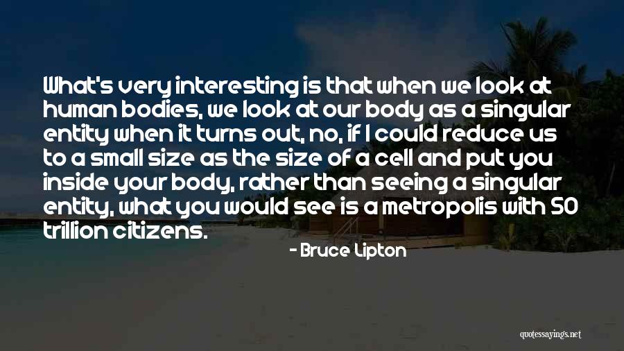 Krishnappa Mla Quotes By Bruce Lipton Krishnappa Mla Quotes By Bruce Lipton