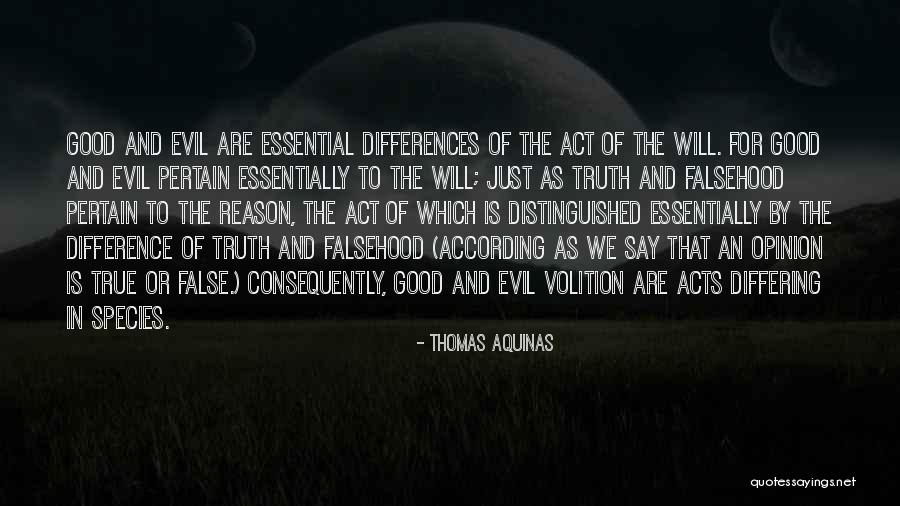 Krishnaveni Foods Quotes By Thomas Aquinas Krishnaveni Foods Quotes By Thomas Aquinas
