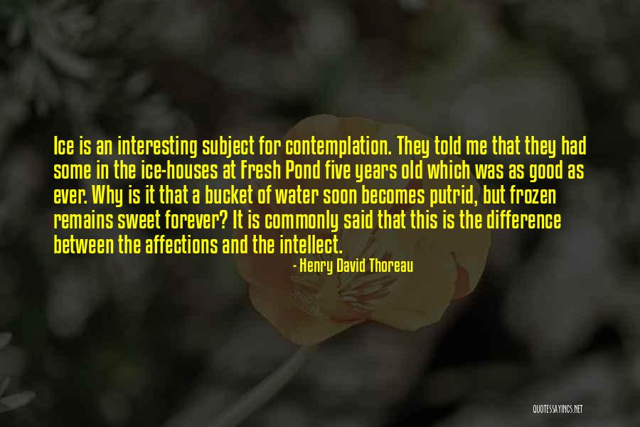 Krissel Quotes By Henry David Thoreau Krissel Quotes By Henry David Thoreau