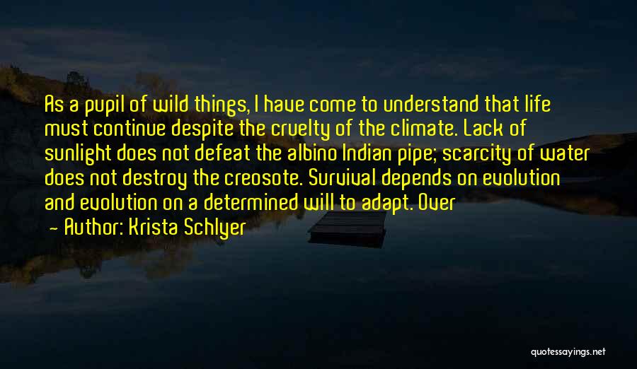 Krista Schlyer Quotes 1705854