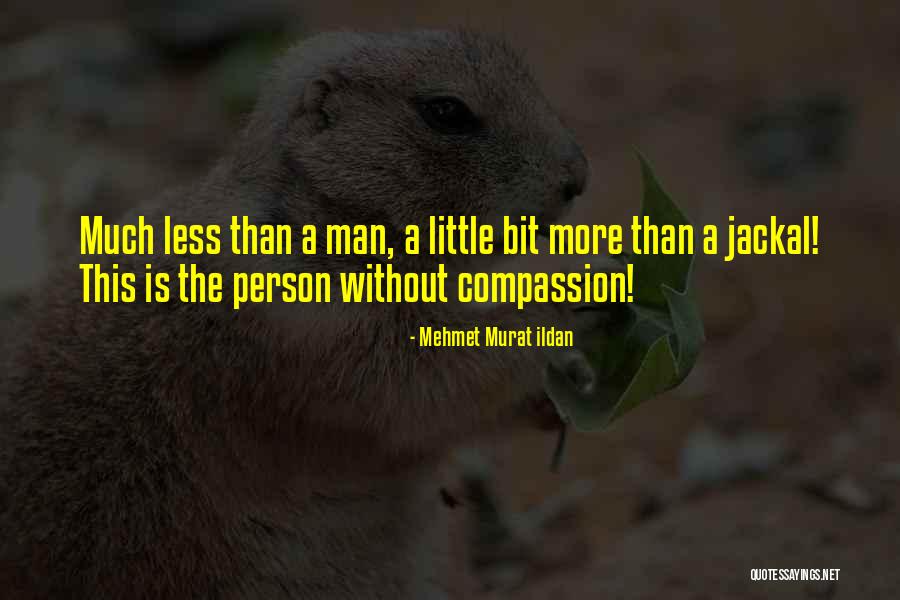 Kristenashley Quotes By Mehmet Murat Ildan Kristenashley Quotes By Mehmet Murat Ildan