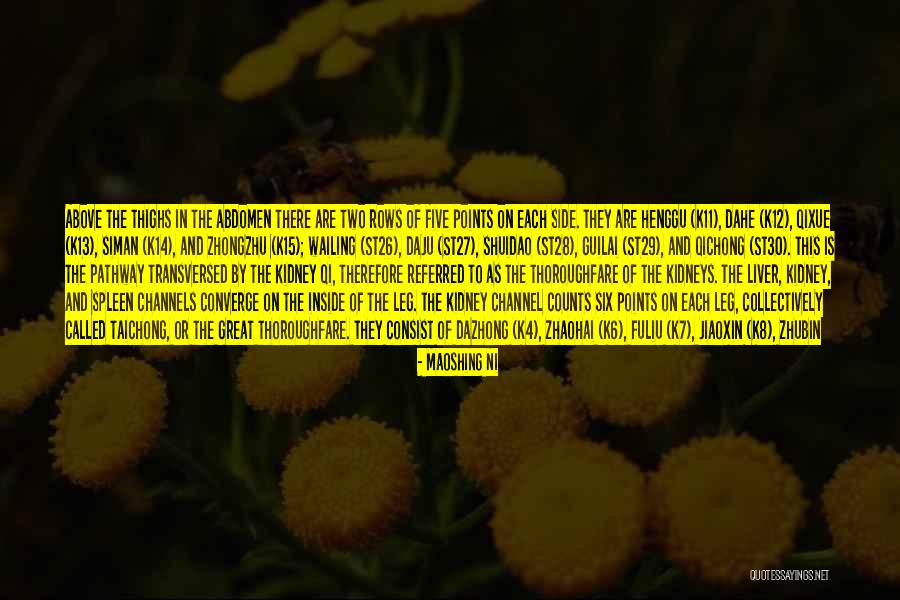 Kristiaan Hendriksen Quotes By Maoshing Ni Kristiaan Hendriksen Quotes By Maoshing Ni
