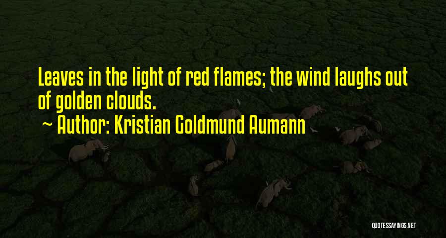 Kristian Goldmund Aumann Quotes 557557